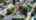 Blurred preview of media: 18543 Chatsworth St 