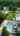 Blurred preview of media: 27 Tracy, Manalapan, NJ Unbranded