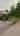 Blurred preview of media: 175 bruce logo