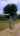 Blurred preview of media: 5026 SH 70