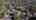 Blurred preview of media: 6130 El Romero UB