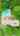 Blurred preview of media: 56MonteiroDrive_MLS_v3