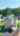 Blurred preview of media: 155PondStreet_MLS_v1