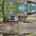 Blurred preview of media: 0ebee770-fe4c-4fe6-a9a7-f5f7c7acdb56