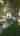 Blurred preview of media: 30 Gerard Ave, Kitchener 1 v1