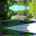 Blurred preview of media: 1004 Oakford woods Video