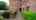 Blurred preview of media: 184-10 Granton Road Video