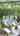 Blurred preview of media: 815 Rt 9, Little Egg Harbor, NJ