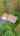 Blurred preview of media: 5BlueberryHillLane_MLS_v1