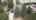 Blurred preview of media: new