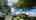 Blurred preview of media: 04042021_143429