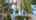 Blurred preview of media: 4240 SW 84th Ave, Miami, FL 33155 - video walkthrough