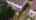 Blurred preview of media: 700_harmony_r_n_-_42 (1080p)