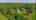 Blurred preview of media: 177MapleStreet_MLS_v1