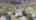 Blurred preview of media: 319ChaseRoad_MLS_v1