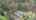Blurred preview of media: 13GrotonShirleyRoad_Branded_v1