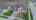 Blurred preview of media: 1895 Sumac Way