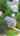 Blurred preview of media: 621HighStreet_MLS_v1
