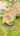 Blurred preview of media: 15CulverStreet_MLS_v1