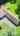 Blurred preview of media: 136FairbanksStreet_MLS_v1