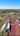 Blurred preview of media: 13602 S Village Dr #1204 Tampa FL 33618