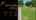 Blurred preview of media: Happy Dance 720_Unbranded