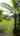 Blurred preview of media: 13-3439 Pomaikai Street, Pahoa, HI VIDEO-001