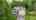 Blurred preview of media: 189_Aleksander_Ln_unbranded