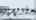 Blurred preview of media: 8