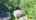 Blurred preview of media: 152WellmanAvenue_MLS_v1