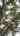 Blurred preview of media: 35 Chesapeake Rd, Manalapan, NJ
