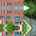 Blurred preview of media: 475 Lenape