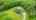Blurred preview of media: 324OldHarvardRoad_MLS_V1