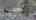 Blurred preview of media: 15204 Arrow Hwy