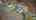 Blurred preview of media: 98EastRoad_MLS_v1