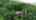 Blurred preview of media: 104 Bridgeway Court