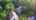 Blurred preview of media: 16AbelJonesPlace_MLS_v1