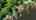 Blurred preview of media: VIDEO 1