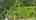 Blurred preview of media: Unknown media