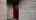 Blurred preview of media: 24 Telford Road Video