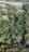 Blurred preview of media: 13601 Ricky Rd 