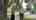 Blurred preview of media: 197 WARRENN