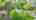 Blurred preview of media: 338 Lyndeview Dr. Whitby