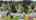 Blurred preview of media: 5706_ne_38th_st_vancouver,_washington__unbranded_v1