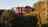Blurred preview of media: 539 nightshade