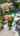 Blurred preview of media: 1631 E. Deyoung Dr No Music 