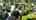 Blurred preview of media: DJI_0229.244