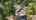 Blurred preview of media: 7831 SW Birch St