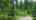 Blurred preview of media: Friedner