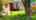 Blurred preview of media: 3428_se_153rd_ave,_portland,_oregon